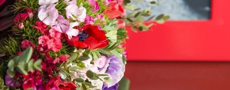 close up shot of flowers