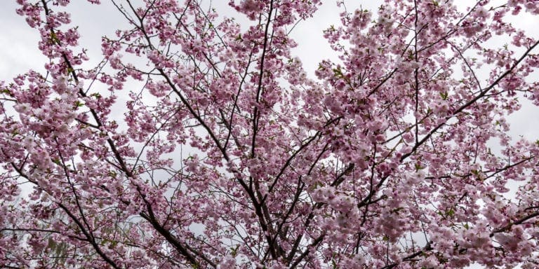 Why You Should Always Start Your Spring Cleaning With Your HVAC System