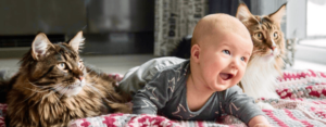 HVAC Covid Guidelines Keep You Safe & Your System Running